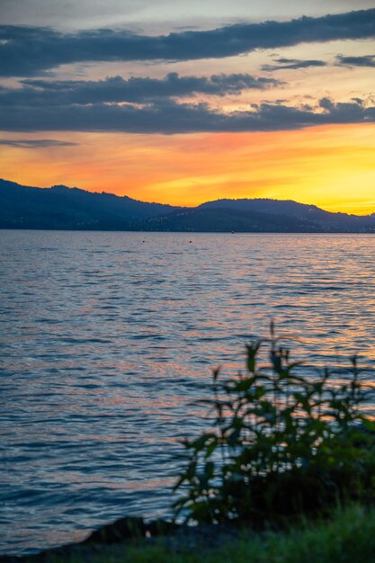 Un coucher de soleil sur un lac au premier plan est une plante