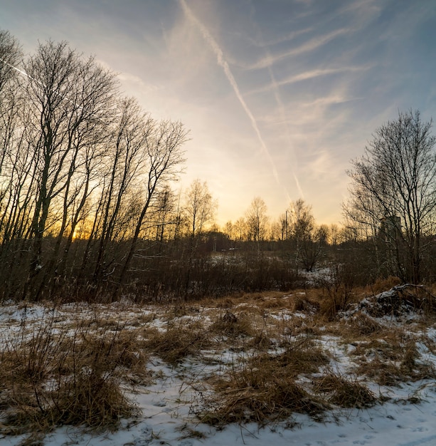 Coucher de soleil en lisière de forêt à la fin de l'automne. région de Léningrad.