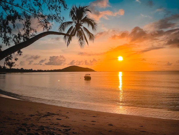 Coucher De Soleil Lumineux Plage Tropicale Eau De Mer Calme