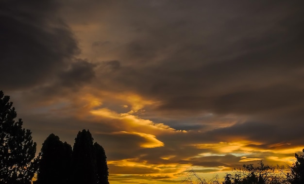 Coucher de soleil avec de magnifiques nuages et des arbres sombres