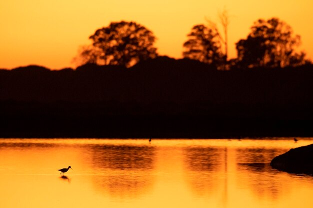 Coucher de soleil sur les marais