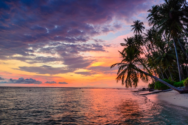 Coucher de soleil sur la mer, plage de désert tropical