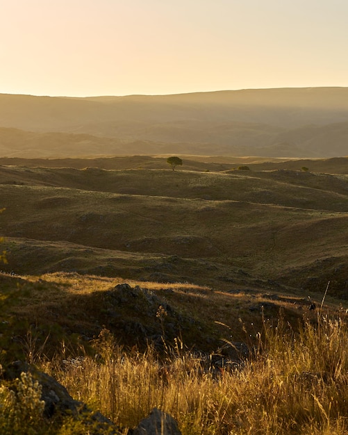 Photo coucher de soleil sur la montagne de cordoba argentine avec arbre centré sur la scène