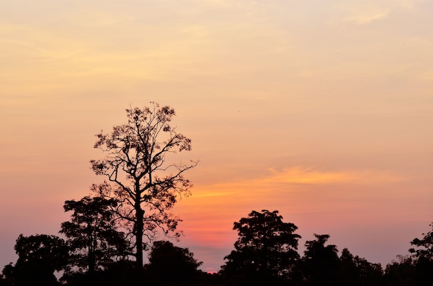 Coucher de soleil à la montagne