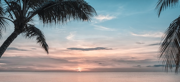 Coucher de soleil et nature des palmiers.