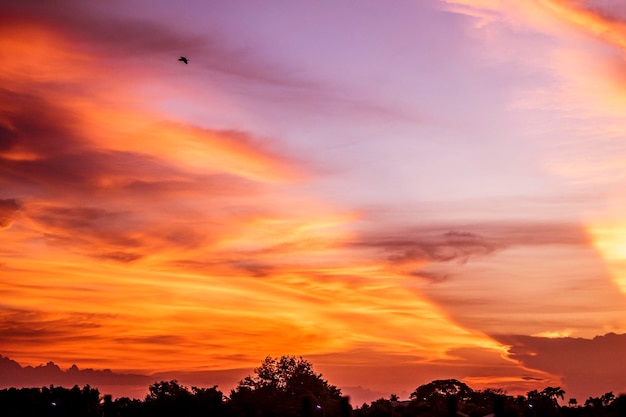 Un coucher de soleil avec un oiseau qui vole dans le ciel