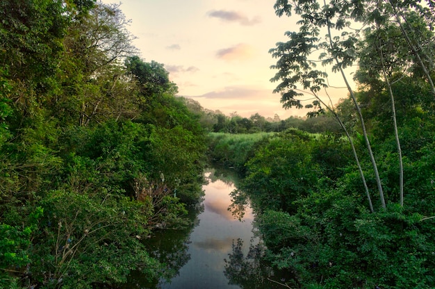 Coucher de soleil avec paysage naturel de la rivière au milieu de la forêt et de la végétation au Panama