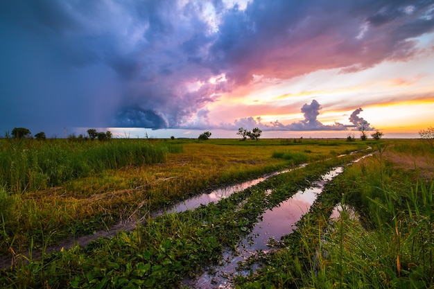 Coucher de soleil pittoresque dans un champ après l'orage