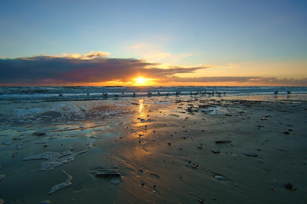 Coucher de soleil sur la plage au Danemark Coquillages au premier plan Promenade sur la côte