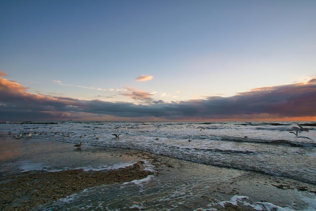 Coucher de soleil sur la plage au Danemark Vagues roulant sur le sable Promenade sur la côte