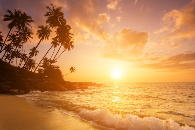 Coucher de soleil sur la plage avec des cocotiers Sri Lanka