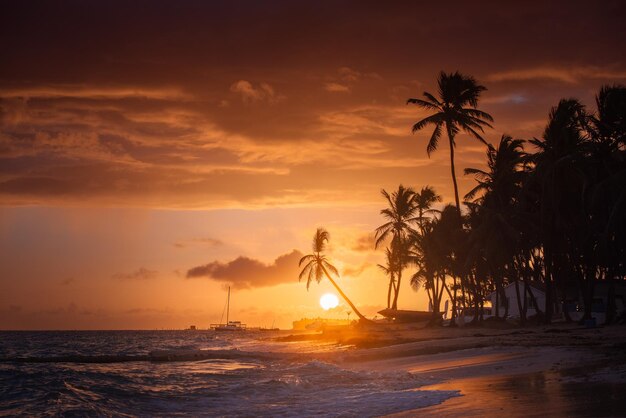 Le coucher de soleil sur la plage du paradis le paradis tropical la plage de sable blanc les palmiers et l'eau claire