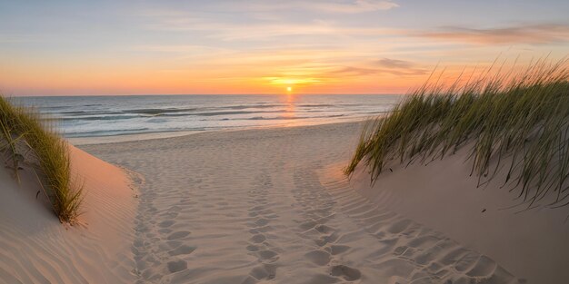 Le coucher de soleil sur la plage des dunes