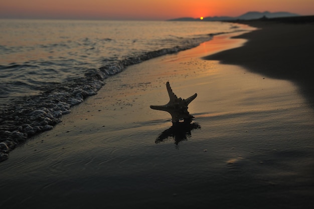 coucher de soleil sur la plage d'été avec étoile sur la plage représentant la fraîcheur de la liberté et le concept de voyage