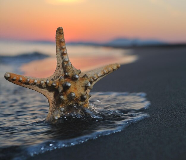 coucher de soleil sur la plage d'été avec étoile sur la plage représentant la fraîcheur de la liberté et le concept de voyage