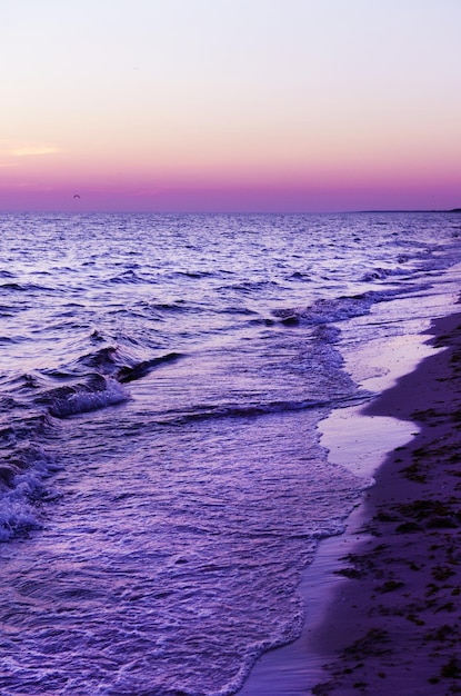 Coucher de soleil sur la plage d'été