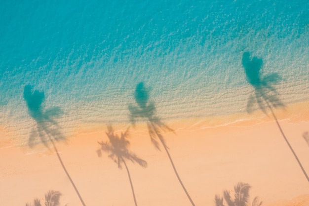 Coucher de soleil plage palmiers ombres plage de sable rivage océan turquoise d'en haut Incroyable nature d'été