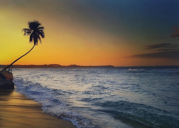 Coucher de soleil sur la plage, plage de Pipa