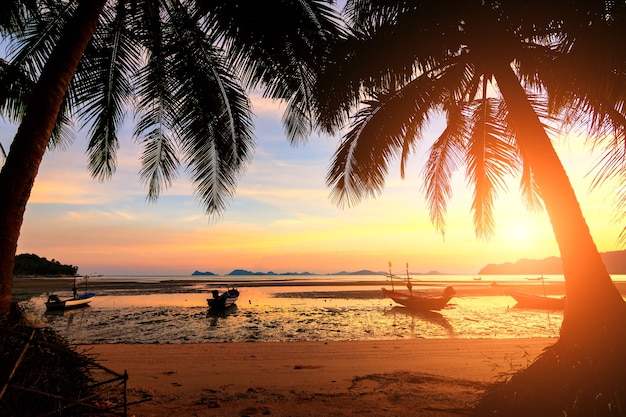 Coucher de soleil sur la plage tropicale avec cocotier et bateau à Koh Tao