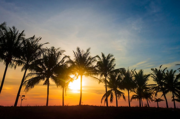 Coucher de soleil sur une plage tropicale avec des palmiers