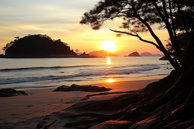 Le coucher de soleil sur la plage