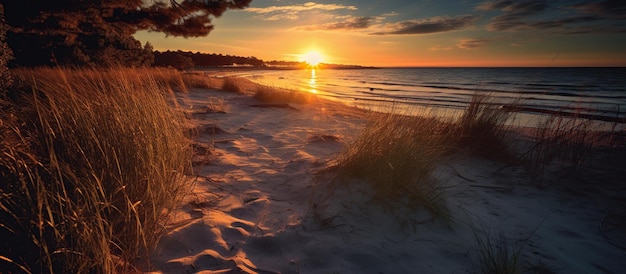 Coucher de soleil sur la plage