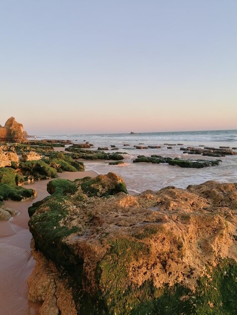 Photo coucher de soleil à la plage