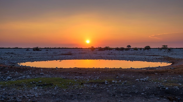 Coucher de soleil sur le point d'eau du camp d'Okaukuejo à Etosha en Namibie