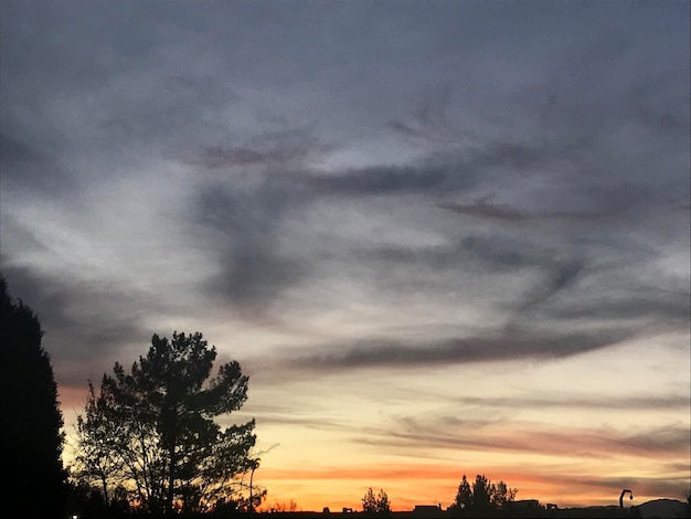 Un coucher de soleil avec quelques arbres et un ciel avec des nuages