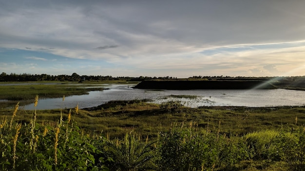 Coucher de soleil sur la rivière