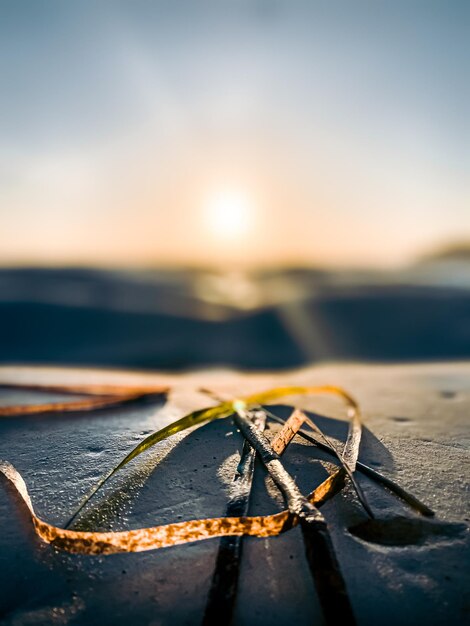 Photo le coucher de soleil en sicile