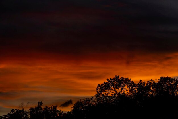 Coucher de soleil avec silhouette de ciel dramatique rouge et bleu contre l'ombre légère des arbres fond coloré mexique