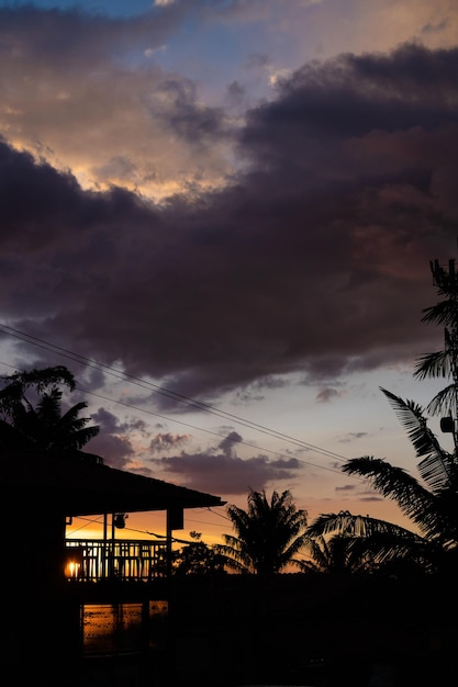 Coucher de soleil avec silhouette de palmiers à cire dans le salento quindio colombie photo verticale