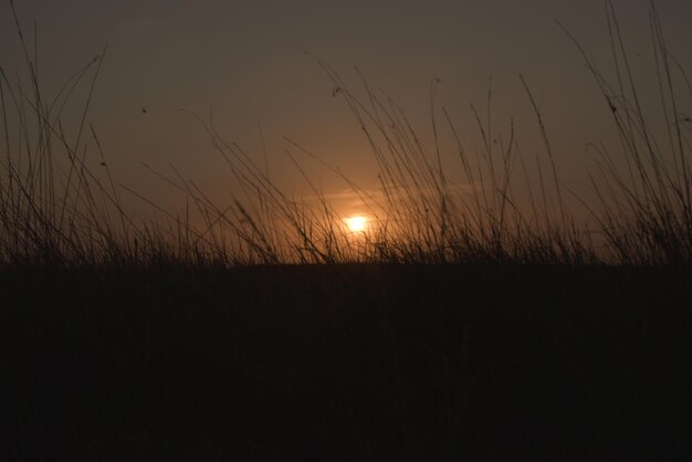 Coucher de soleil sous le champ en fin de journée