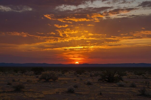 Photo un coucher de soleil spectaculaire dans le désert avec la silhouette d'un arbre