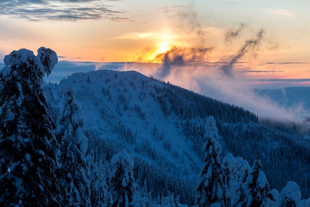 Coucher de soleil spectaculaire sur le mont Polonynka avec couloirs entre forêt d'épicéas couverte de neige l'hiver dans les Carpates