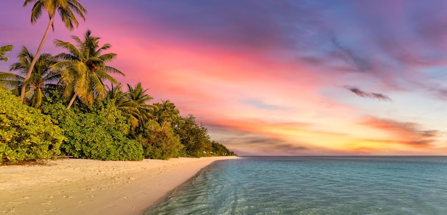 Coucher de soleil tropical plage bord de mer palmier mer calme panorama nature exotique vue paysage marin inspirant