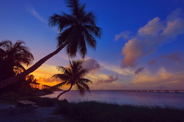 Coucher de soleil sur le vieux pont des Keys à Bahia Honda