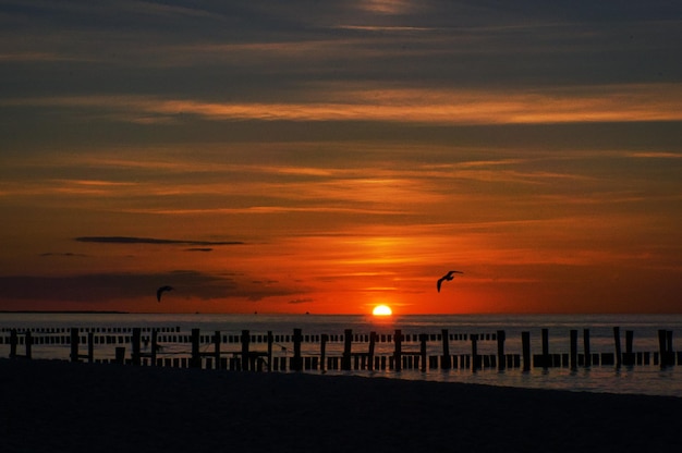 Coucher de soleil à Zingst à la mer rouge orange soleil se couche à l'horizon cercle de mouettes dans le ciel