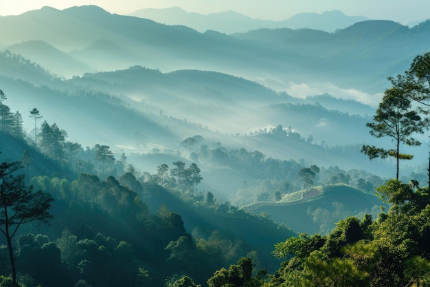 Des couches de montagnes pittoresques au soleil du matin et au brouillard d'hiver en Thaïlande