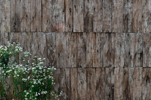 Couches de vieux mur en bois de planche et de fleur blanche. pour fond ou papier peint