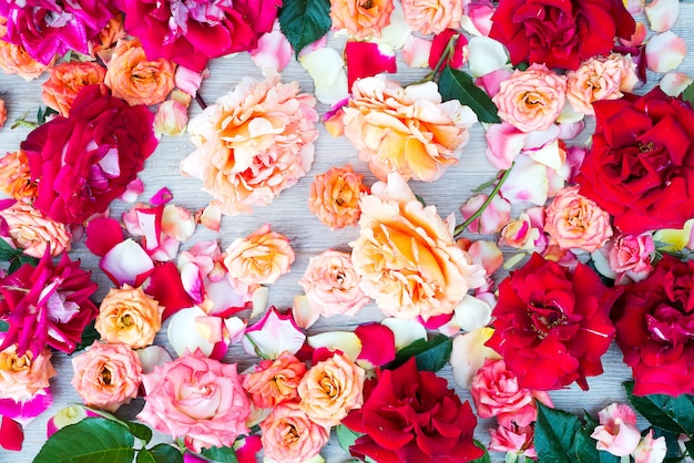 Couleur douce Roses Fond sur bois