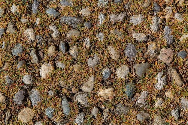 Couleur grise de modèle de la vieille route pavée parmi l'herbe