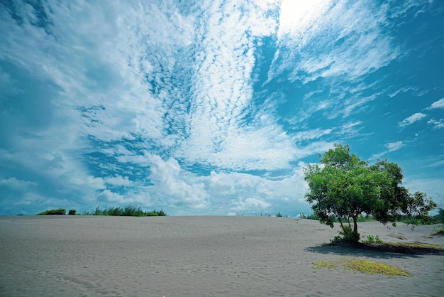 couleur vive du ciel au-dessus du désert le jour ensoleillé