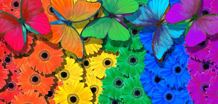 Photo les couleurs de l'arc-en-ciel sont des papillons tropicaux colorés sur des fleurs de gerberas multicolores.