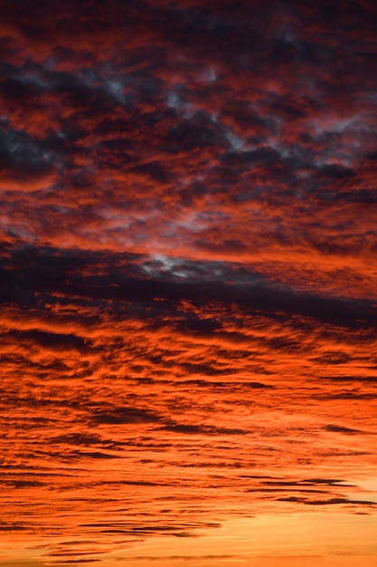 Couleurs d'arrière-plan coucher de soleil rouge orange et nature merveilleuse Image d'arrière-plan abstraite pour la psychologie nutrition magique Image neutre à la mode