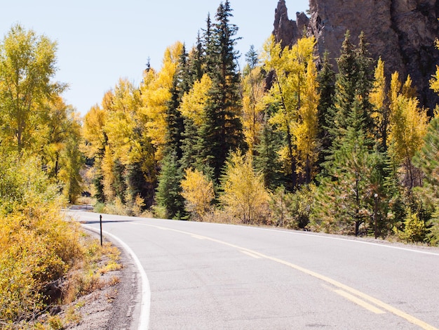 Des couleurs d'automne brillantes ornent une route de campagne dans le Colorado.