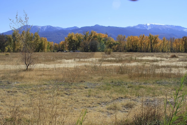 Couleurs d'automne dans le lac de juin et les sierras de l'est de la Californie