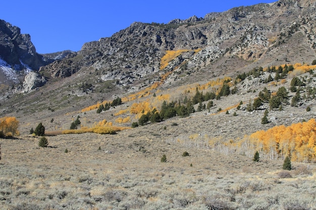 Couleurs d'automne dans le lac de juin et les sierras de l'est de la Californie