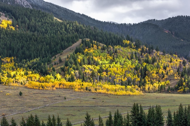 Couleurs d'automne dans le Wyoming